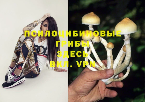 трава Аркадак