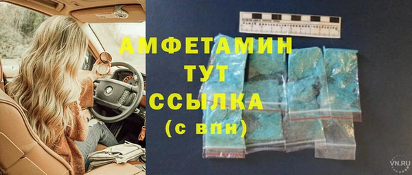 трава Аркадак