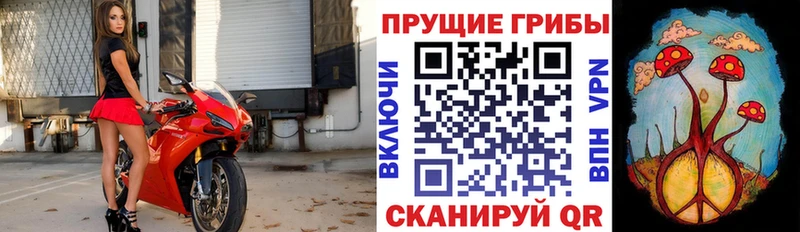 Галлюциногенные грибы ЛСД  Тында 